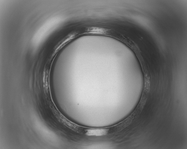 X0000085001487200704021320