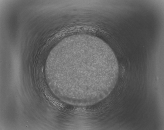 X0000085001489200704021319