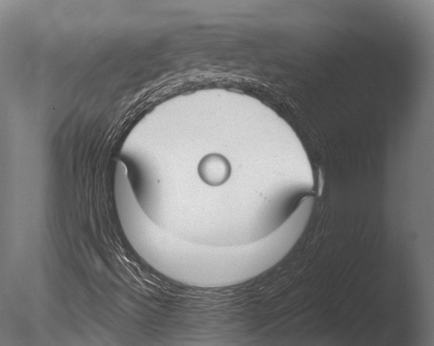 X0000085001492200704021319