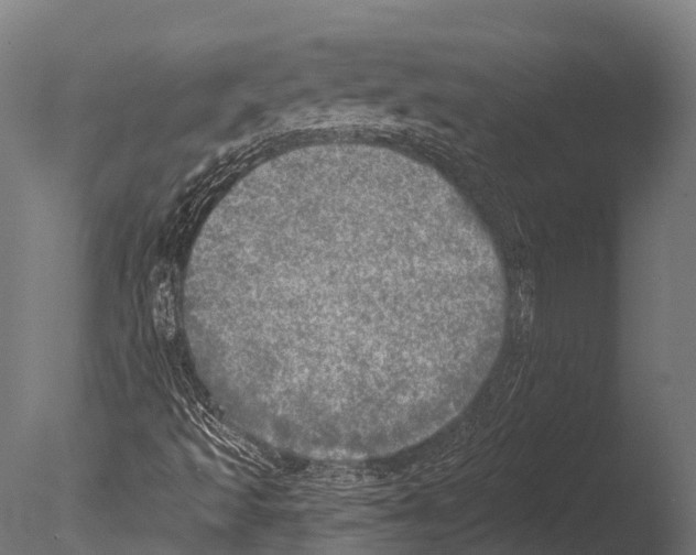 X0000085001493200704021319