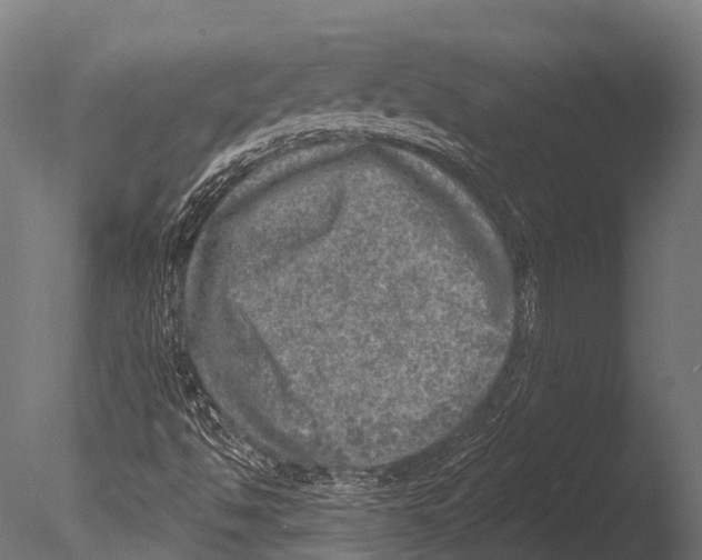 X0000085001494200704021319