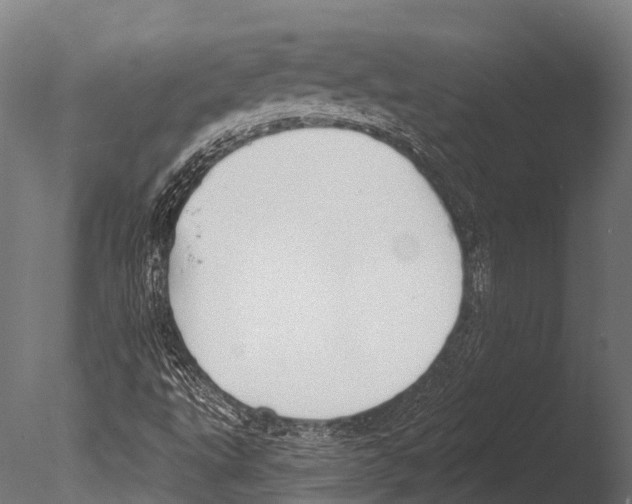 X0000085001495200704021319