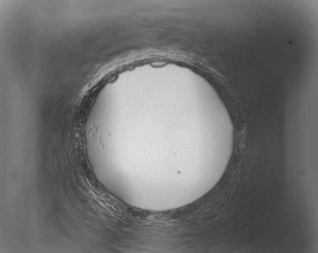 X0000085001496200704021319