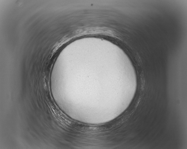 X0000085001497200704021319