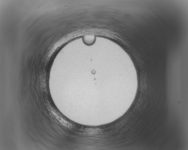 X0000085001498200704021320