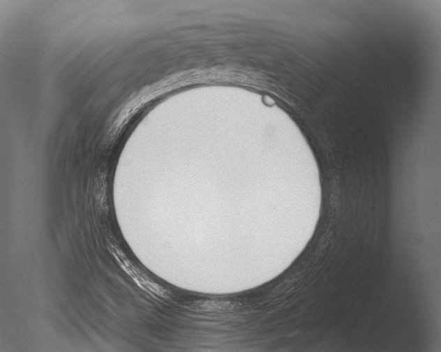 X0000085001499200704021320