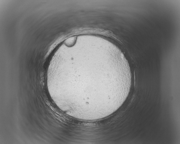 X0000085001501200704021320