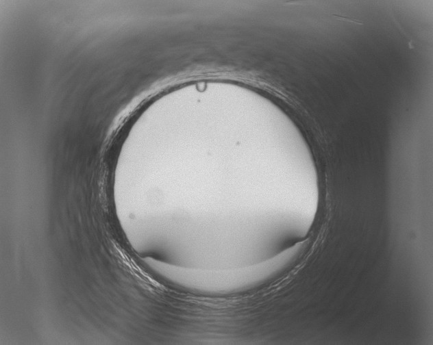 X0000085001502200704021320