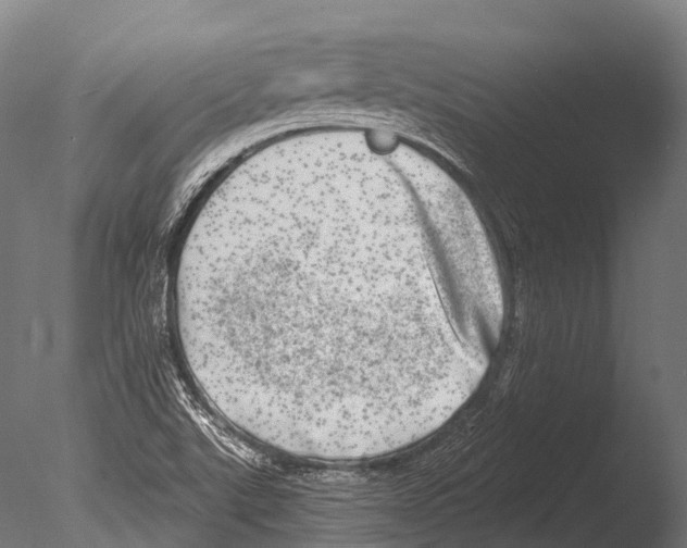 X0000085001507200704021320