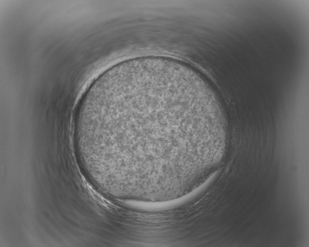 X0000085001508200704021320