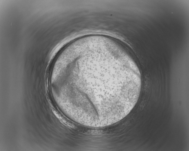 X0000085001511200704021320