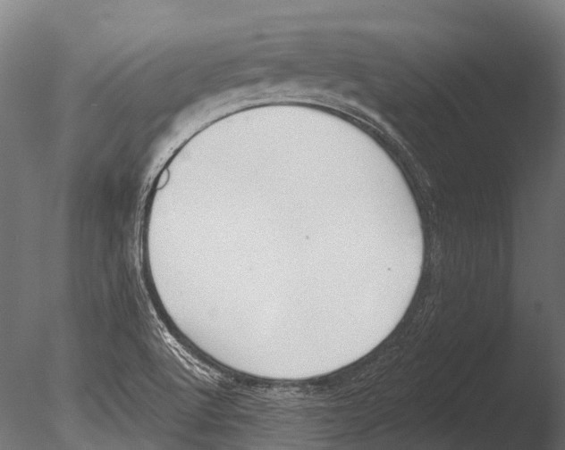 X0000085001512200704021320