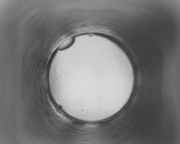 X0000085001513200704021320