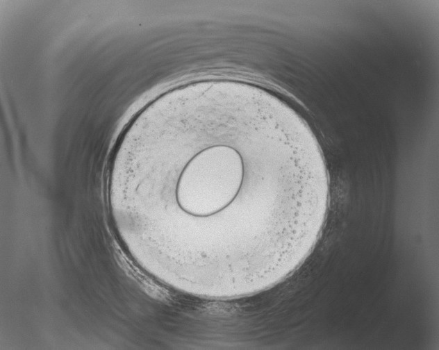 X0000085001514200704021320