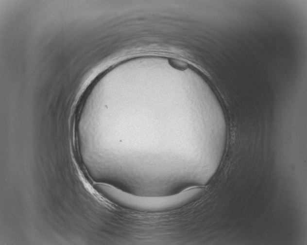 X0000085001515200704021320