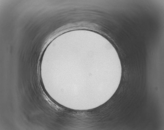 X0000085001516200704021320