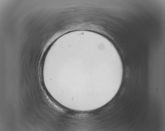 X0000085001517200704021320