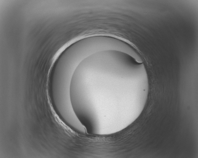 X0000085001518200704021320