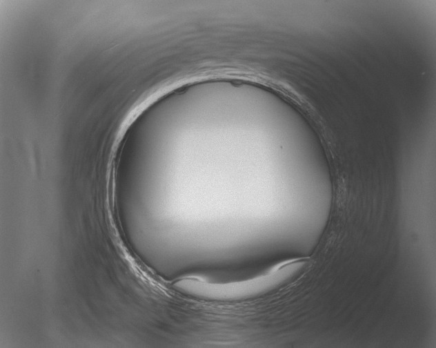 X0000085001520200704021320