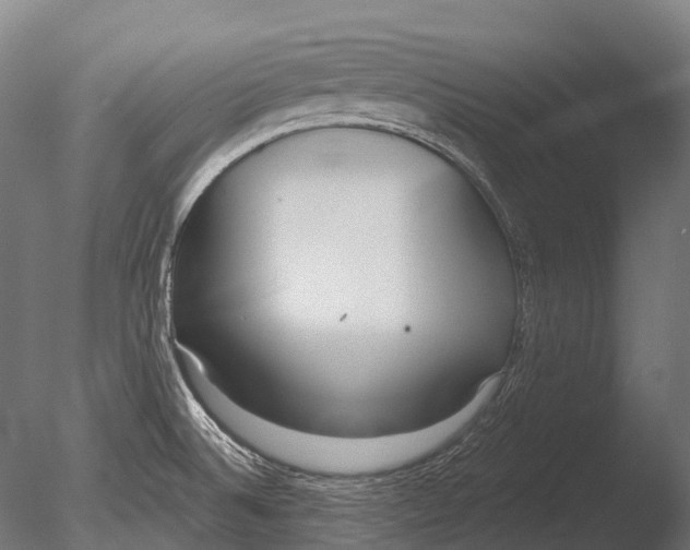 X0000085001524200704021320