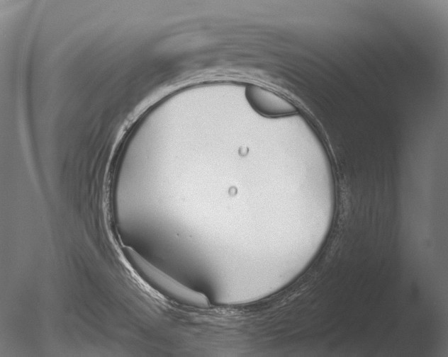 X0000085001525200704021320