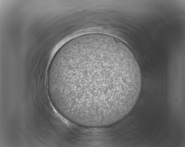 X0000085001527200704021320