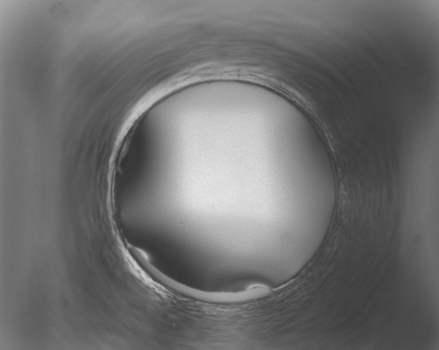 X0000085001528200704021320