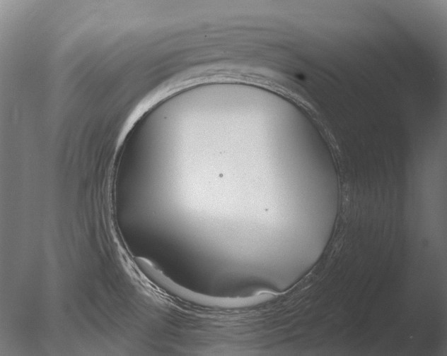 X0000085001530200704021320