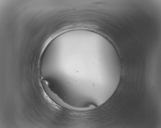 X0000085001532200704021320