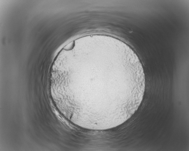 X0000085001534200704021320