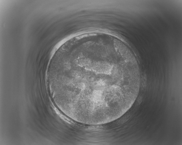 X0000085001535200704021320