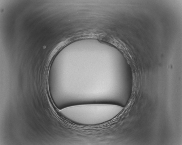 X0000085010003200703051013