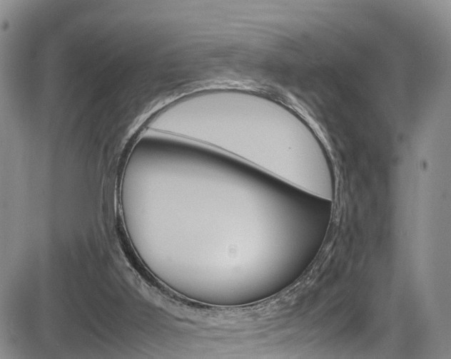 X0000085010011200703051013