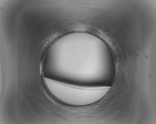 X0000085010013200703051013