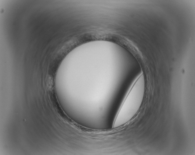 X0000085010025200703051013