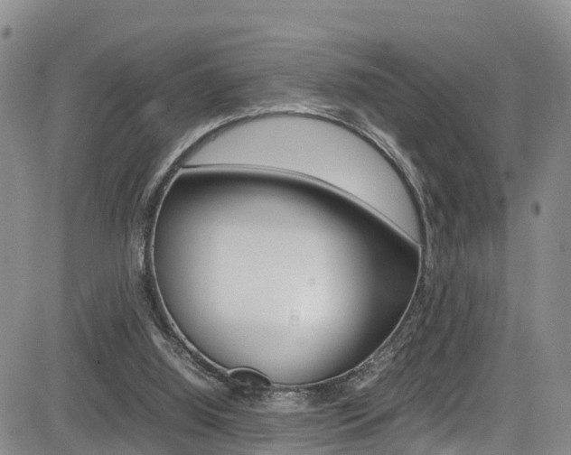 X0000085010060200703051012