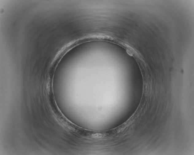 X0000085010064200703051012
