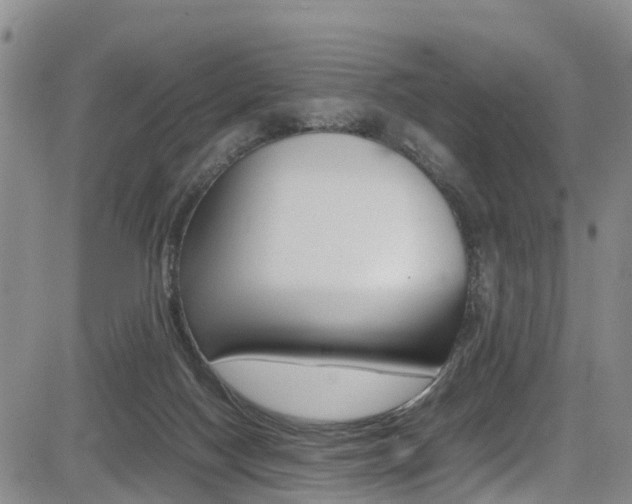 X0000085010074200703051012