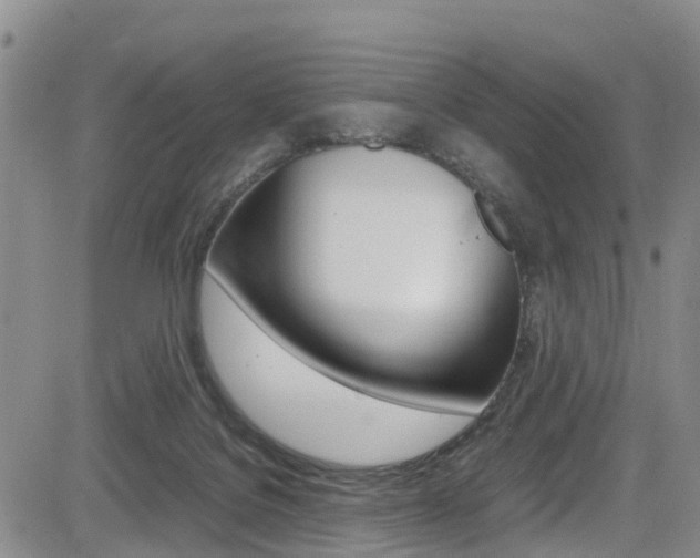 X0000085010076200703051012