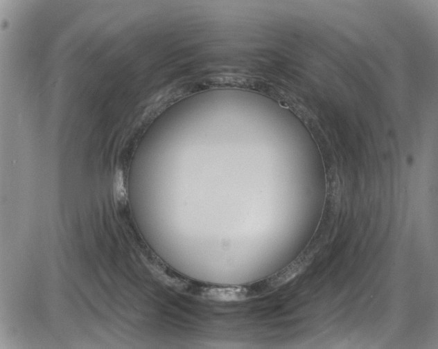 X0000085010089200703051012