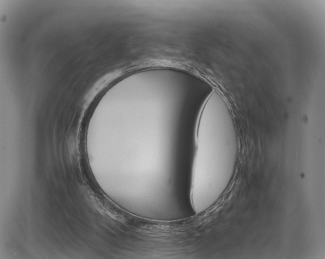 X0000085010104200703051011
