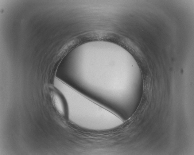 X0000085010119200703051011