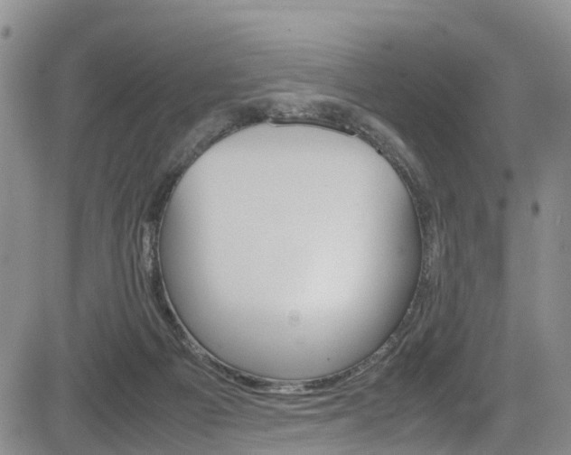 X0000085010121200703051011