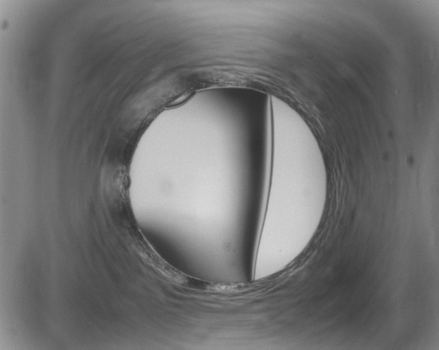 X0000085010141200703051011