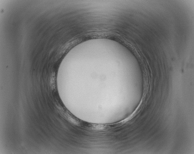 X0000085010144200703051011