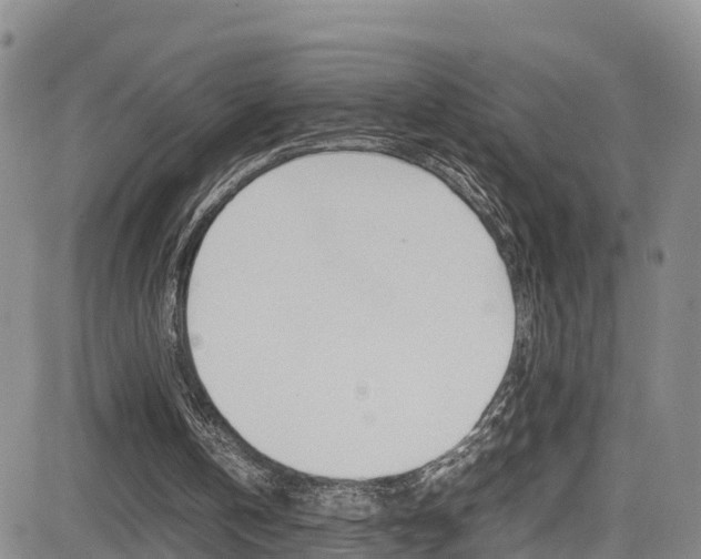 X0000085010146200703051010