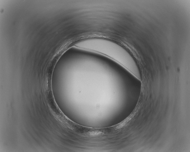 X0000085010158200703051010