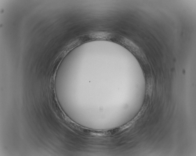 X0000085010167200703051010