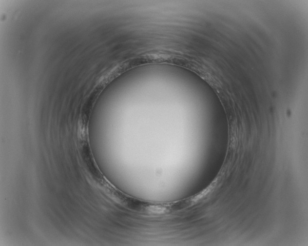 X0000085010176200703051010
