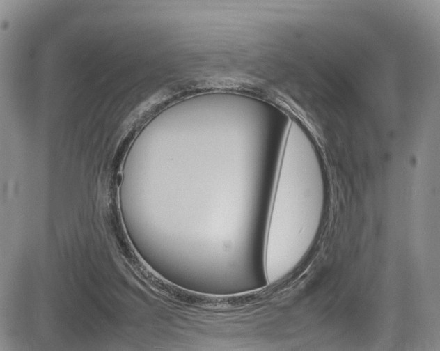 X0000085010203200703051010